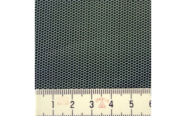 Moskitonetz Tarantula - Image 4